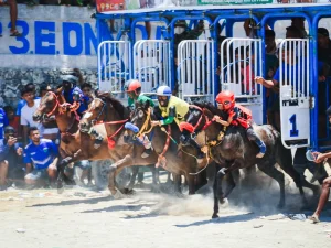 JADI CATATAN SEJARAH BARU, KETUM PP PORDASI SAKSIKAN LANGSUNG PACUAN KUDA TRADISIONAL NTT