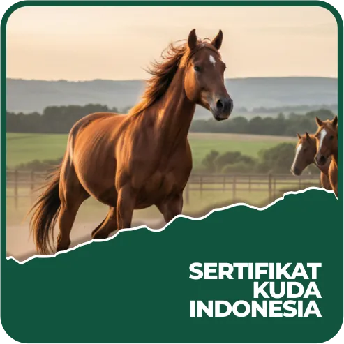 Sertifikat Kuda Indonesia