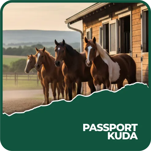 Passport Kuda