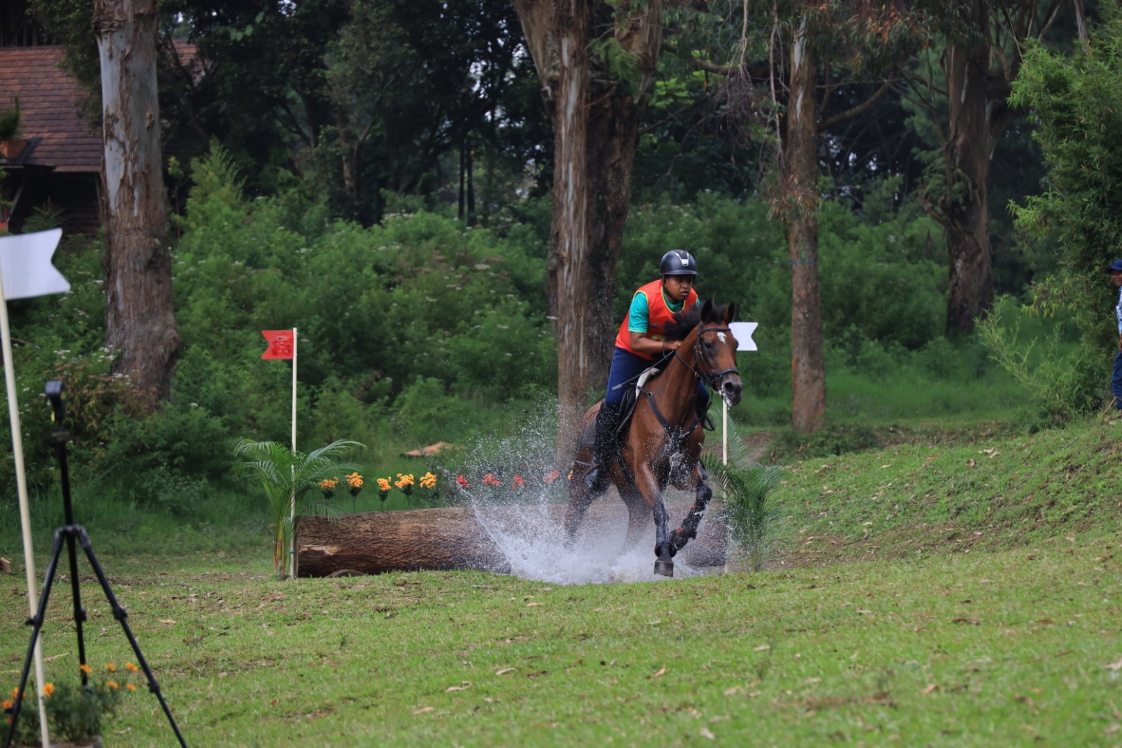 Disiplin Eventing Dipastikan Tampil di Olimpiade Los Angeles 2028