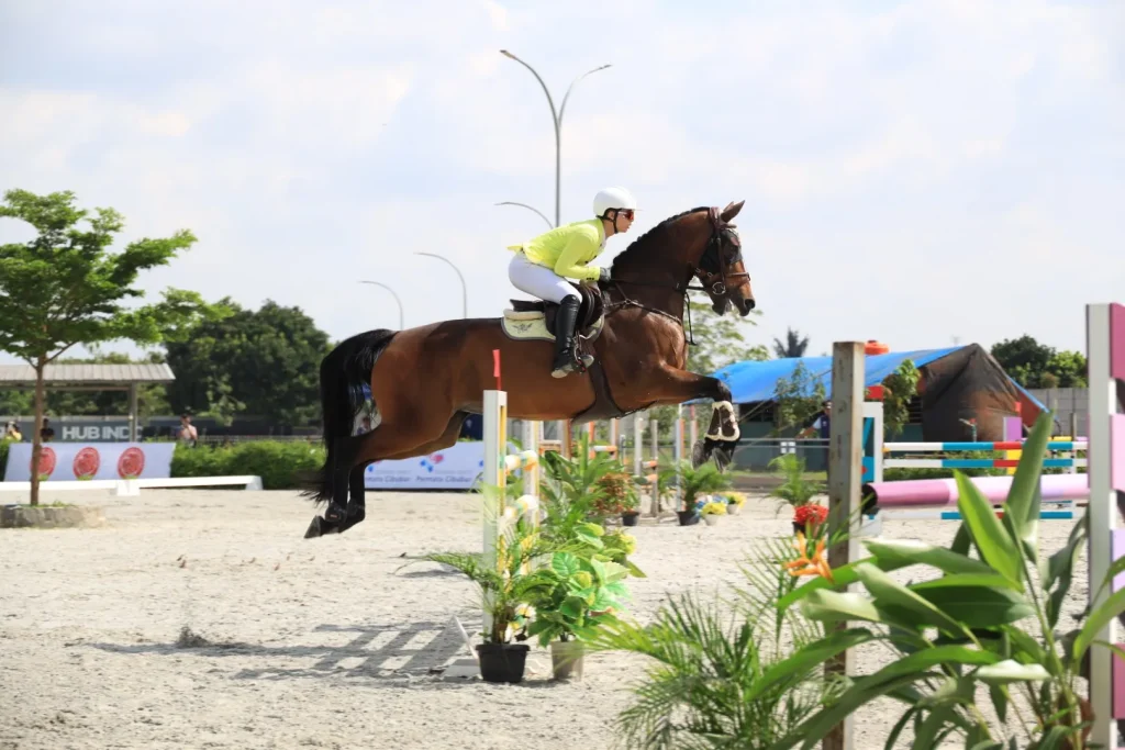 equestrian-1a
