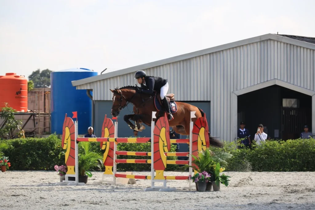 equestrian-1c