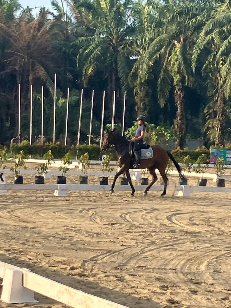 Piala Gubernur Sumatera Utara 2025, Upaya Lestarikan Olahraga Berkuda Equestrian Di Sumut Dan Sekitarnya