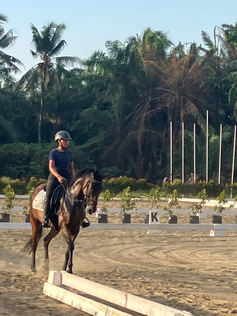 Piala Gubernur Sumatera Utara 2025, Upaya Lestarikan Olahraga Berkuda Equestrian Di Sumut Dan Sekitarnya