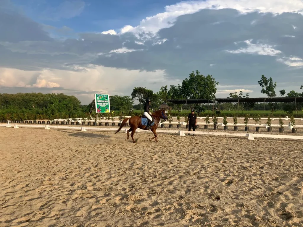 Piala Gubernur Sumatera Utara 2025, Upaya Lestarikan Olahraga Berkuda Equestrian Di Sumut Dan Sekitarnya