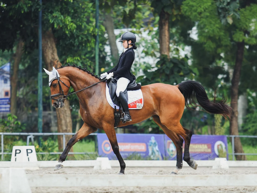 Kejurnas Equestrian 2025, Pertandingan Dressage Usai, Kontingen Jawa Barat Pimpin Klasemen Sementara Perolehan Medali