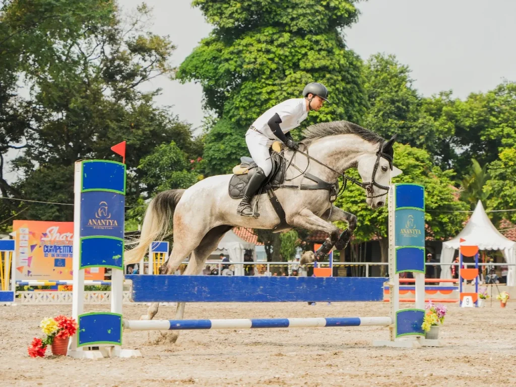 Shark Anantya 2025, Ajang Kompetisi Equestrian Bagi Pemula dan Profesional