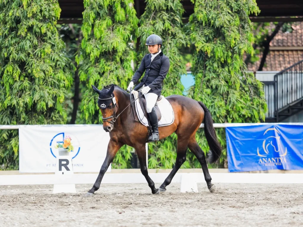 Shark Anantya 2025, Ajang Kompetisi Equestrian Bagi Pemula dan Profesional