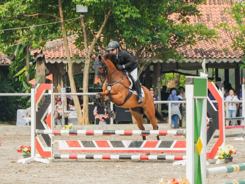 Shark Anantya 2025, Ajang Kompetisi Equestrian Bagi Pemula dan Profesional