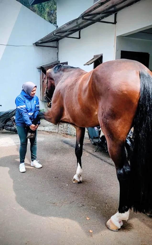 PP Pordasi Gelar Seminar Tentang Stable Management 2