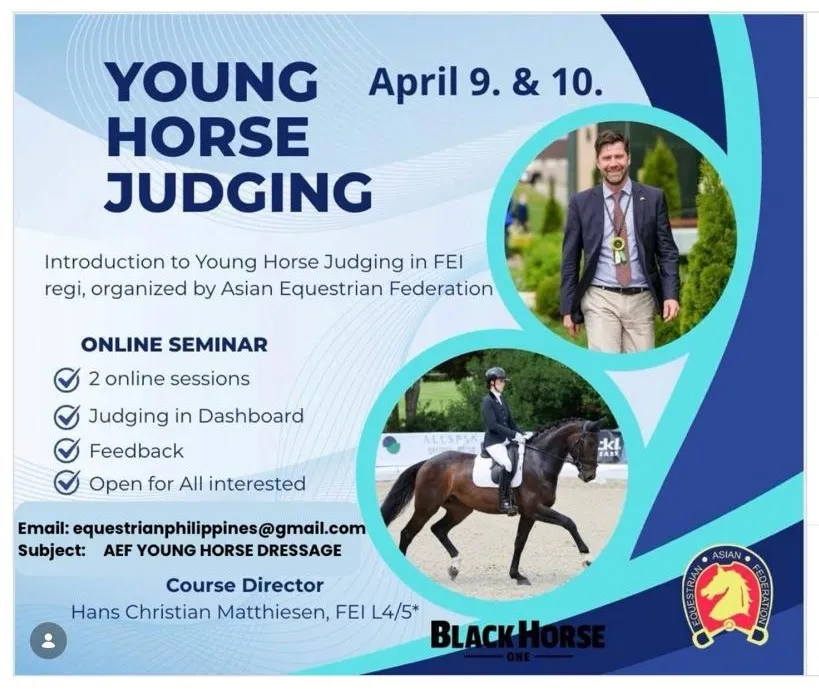 Young Horse Judging
