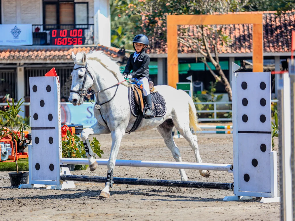 Learn to Ride (dressage) dan Learn to Jump
